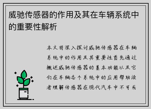 威驰传感器的作用及其在车辆系统中的重要性解析